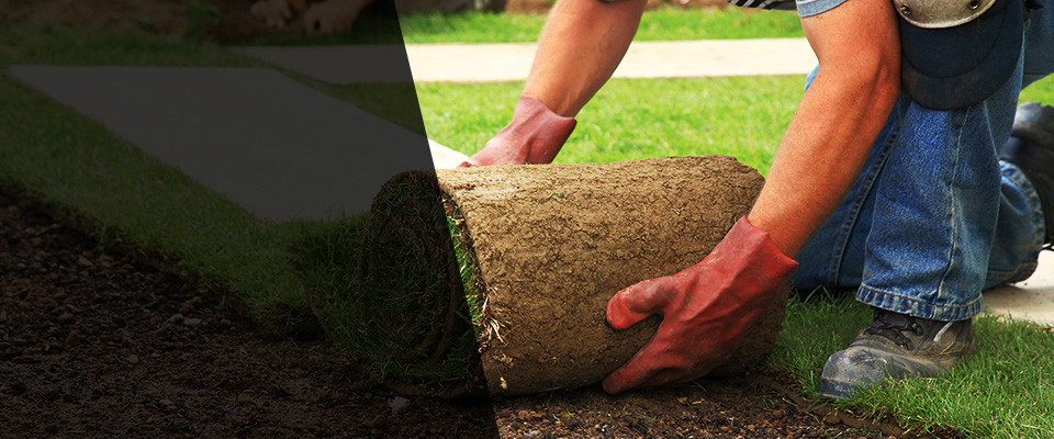 Elk Mound Landscapers